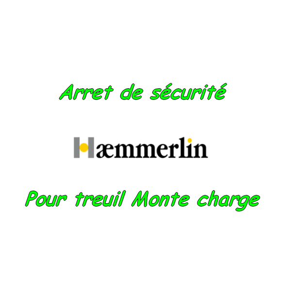 Pour monte charge lève tuile Haemmerlin (arrêt de sécurité) [Petites annonces outils outillage occasion Toulouse]